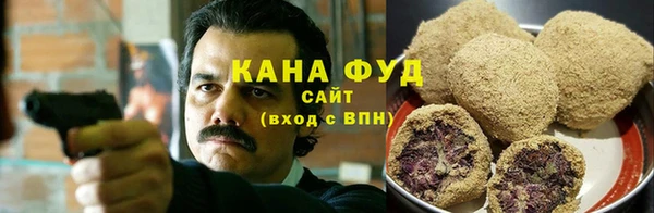 мдпв Вязьма