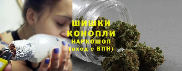 мдпв Вязьма