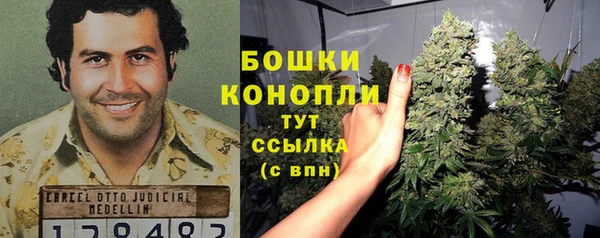 мдпв Вязьма