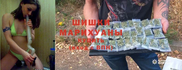 мдпв Вязьма