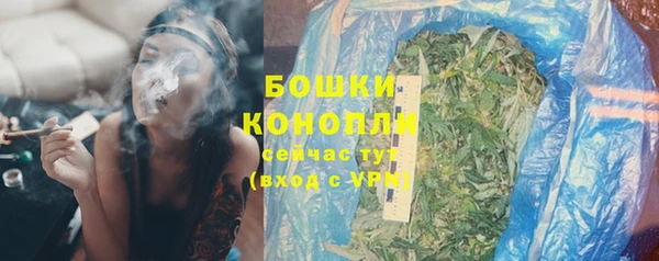 мдпв Вязьма