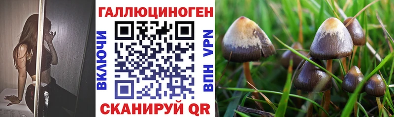 Галлюциногенные грибы Magic Shrooms  Заозёрный 